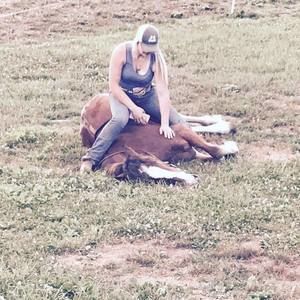 Meet your Posher, Morgan